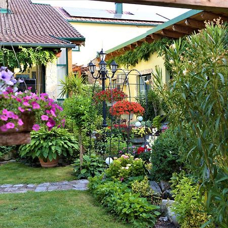 Ferienwohnung Koppi Pamhagen المظهر الخارجي الصورة