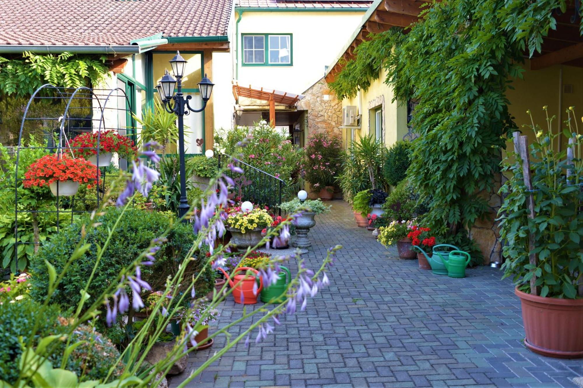 Ferienwohnung Koppi Pamhagen المظهر الخارجي الصورة