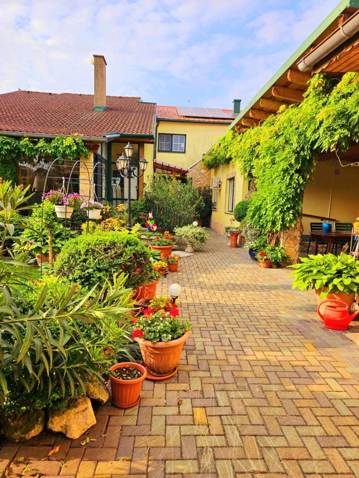 Ferienwohnung Koppi Pamhagen المظهر الخارجي الصورة
