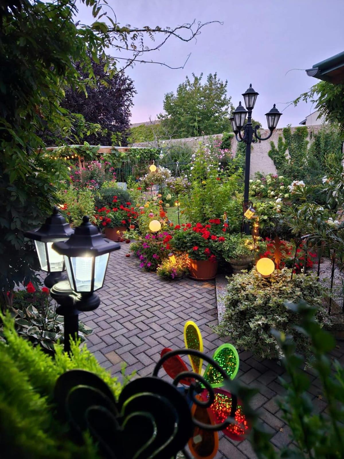 Ferienwohnung Koppi Pamhagen المظهر الخارجي الصورة
